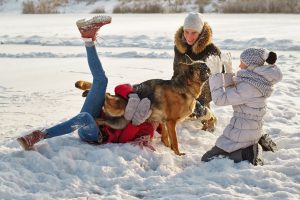 family fun with dogs